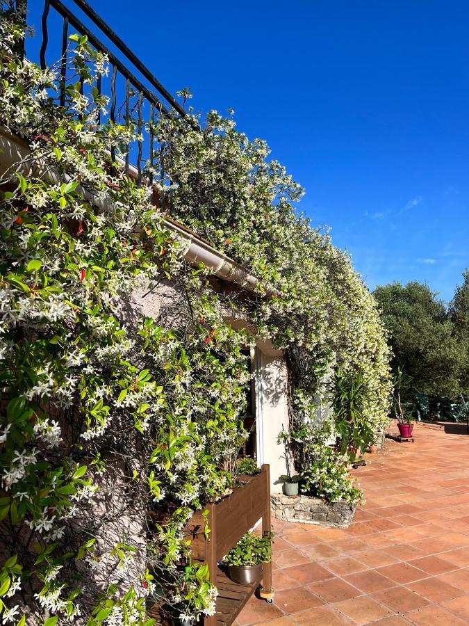 Natur & Jasmin Chambres D'Hotes Naturistes En Provence Lorgues Exterior photo